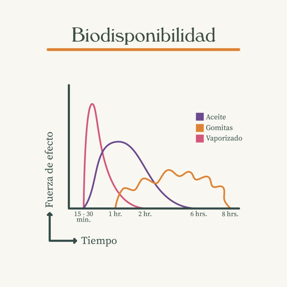 biodisponibilidad copia