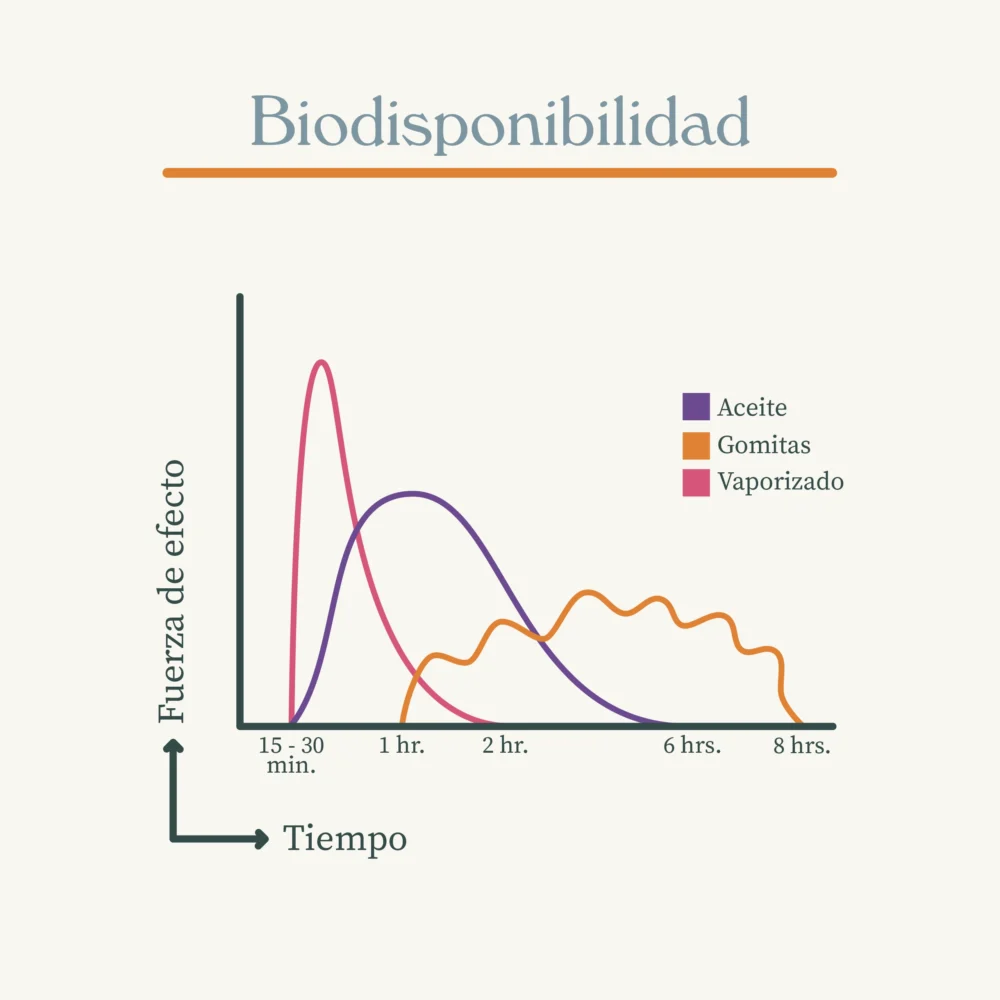 biodisponibilidad em copia