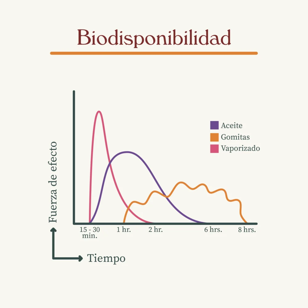 biodisponibilidad pa copia
