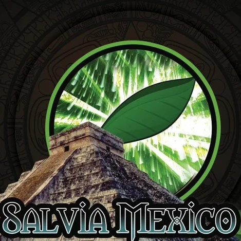 SALVIA MEXICO