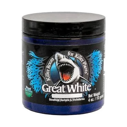 cropped img 2255.webp