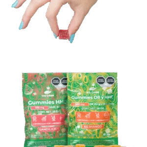 gummies sandía y mango 2