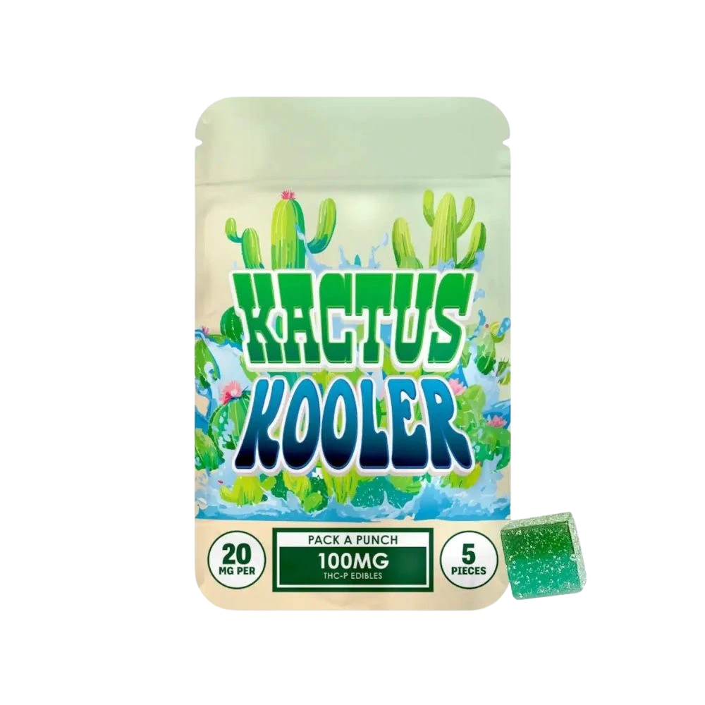 auto draft kactus kooler