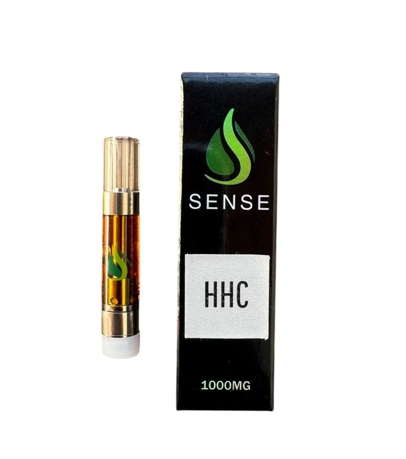 cropped imagen de whatsapp 2025 11 14 a las 09.00.25 3e59b762 2.webp