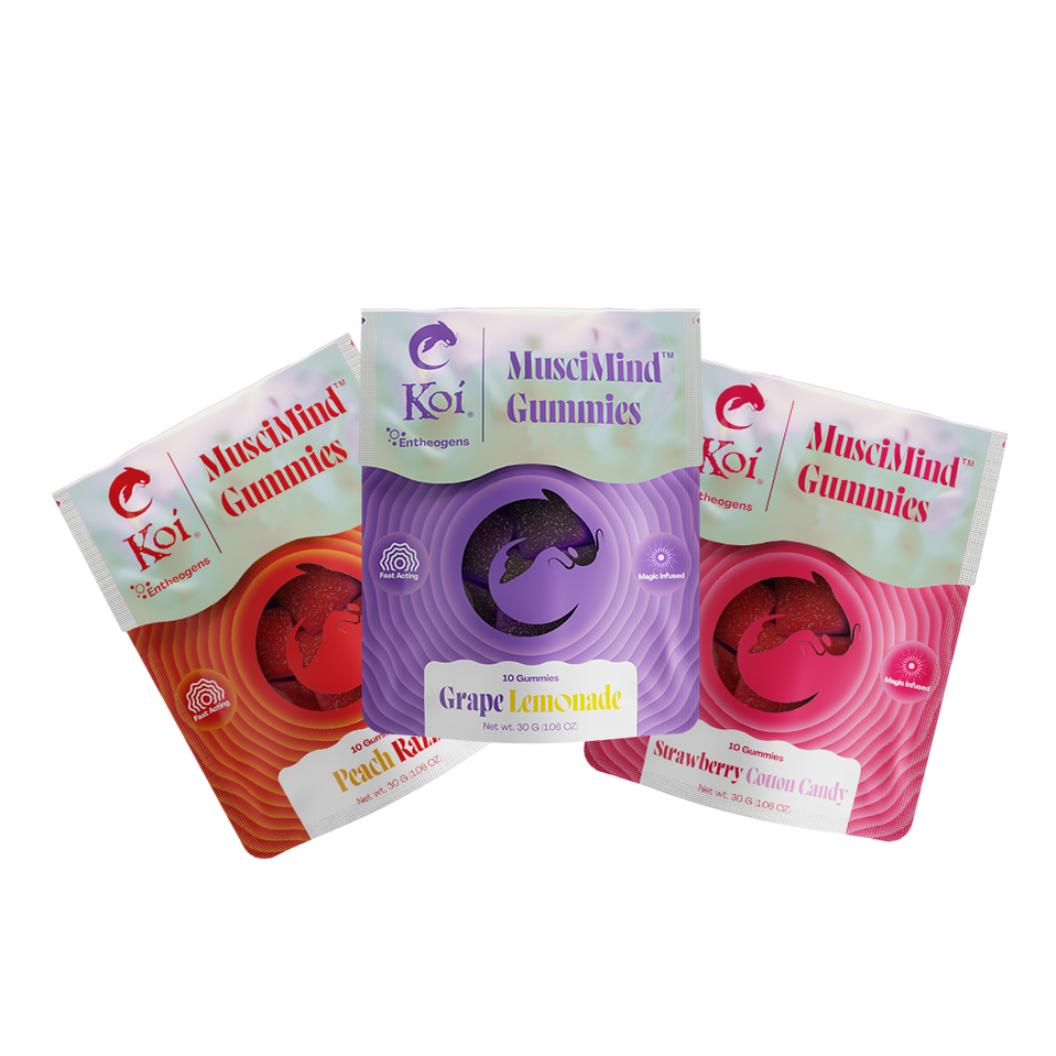 cropped musicmind general.webp