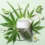 Crema-con-CBD-usos-beneficios-y-como-elegir-la-mejor