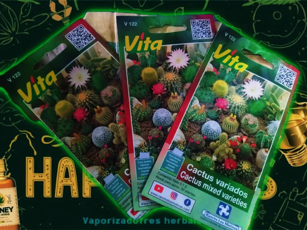 cropped lv 0 20251203160939 scaled 1.webp