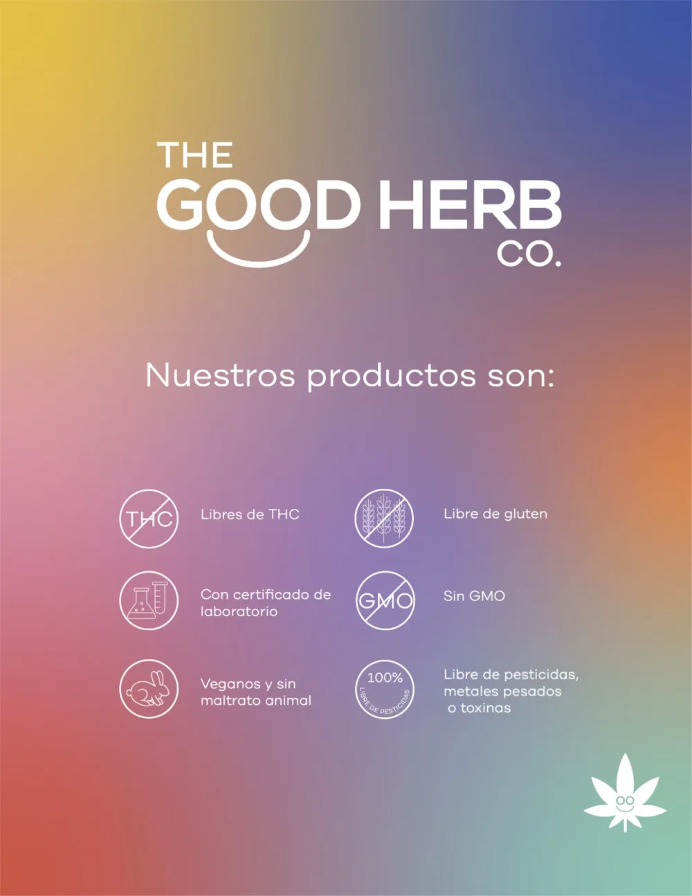 whatsapp image 2025 12 04 at 3.41.30 pm