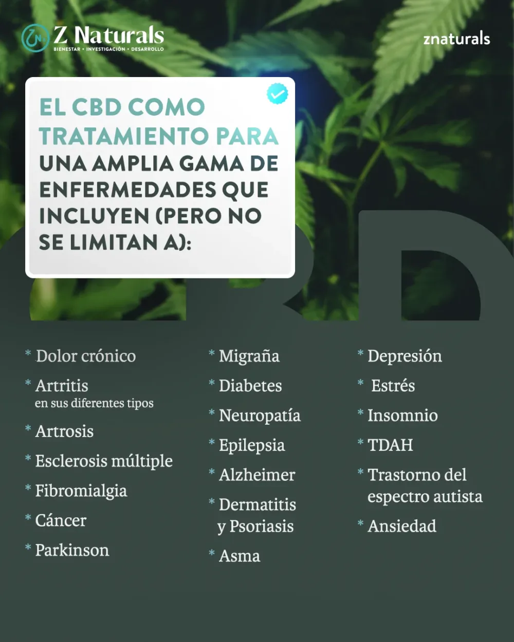 logo encabezado copia 3