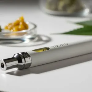 plumas de wax guía práctica para usarlas y elegir bien