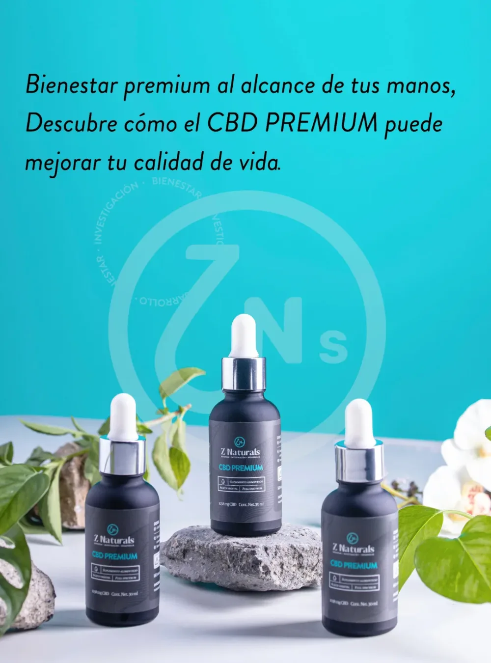 premium logo
