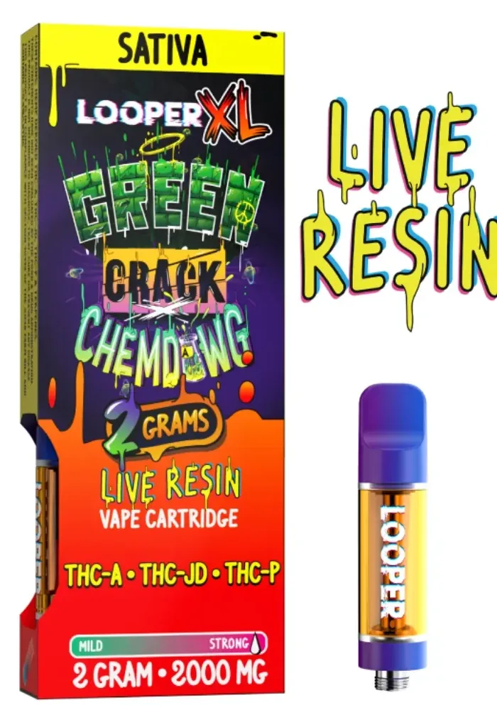 cropped img 0131.webp