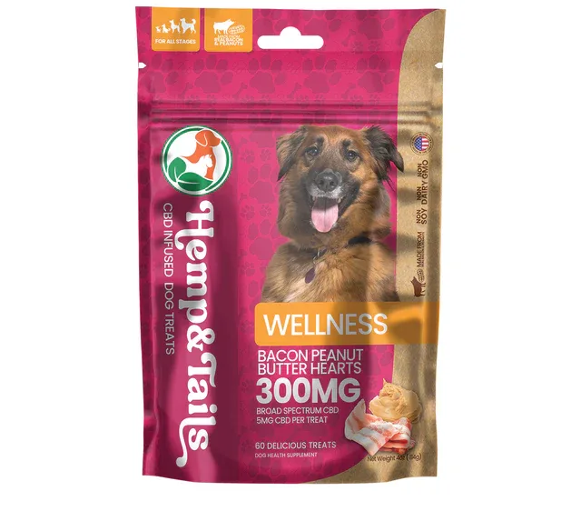 cropped dog wellness 43896.webp
