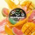 guavamangoescena