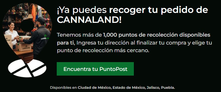puntopost