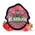 trehouse photo render product mushroomgummies extrastrength strawberrydream nov 11 2025