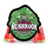 trehouse photo render product mushroomgummies extrastrength watermelonwonder nov 11 2025