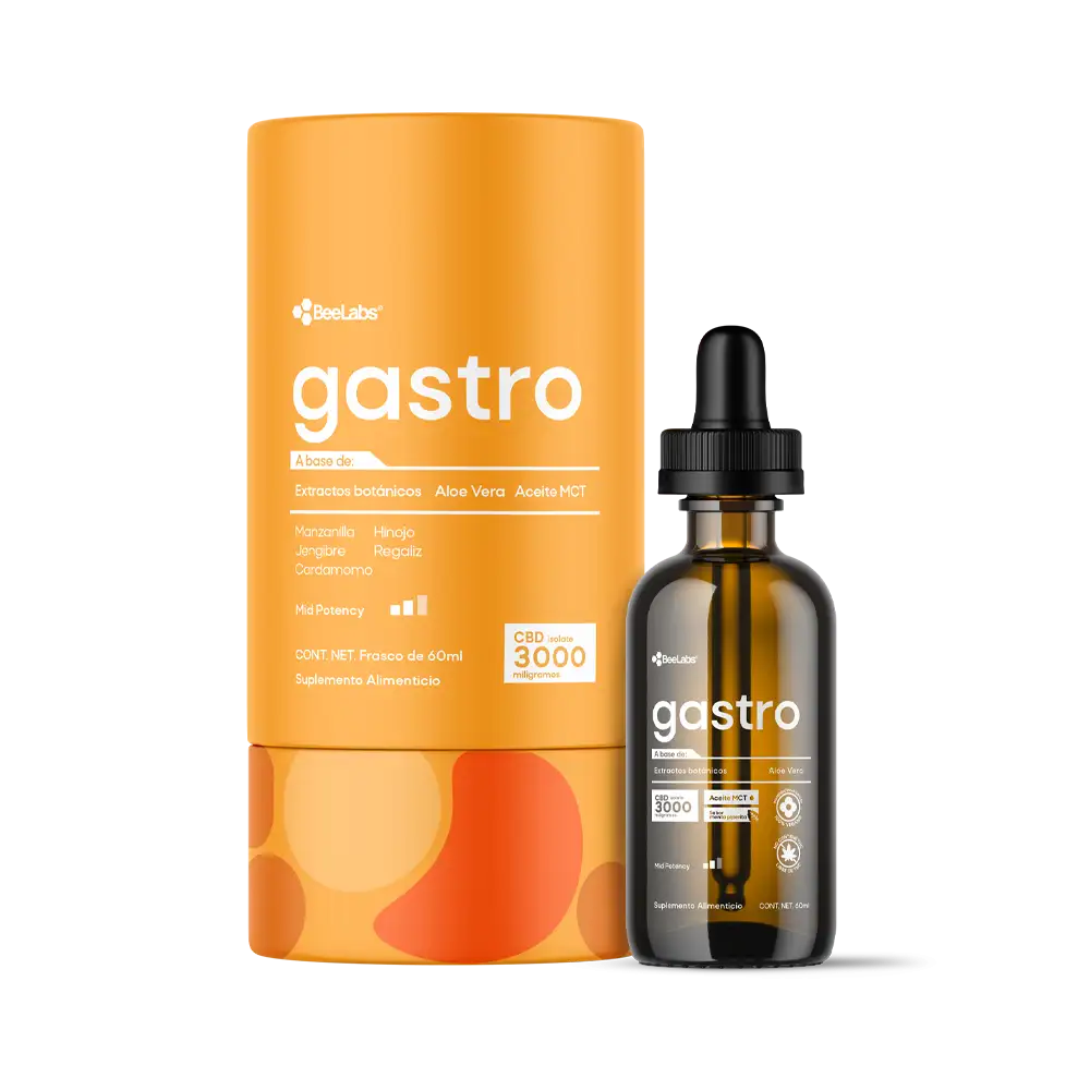gastro.1