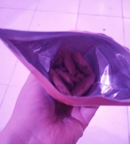 galletas con chispas de chocolate | 200mg delta 9 thc + thc p