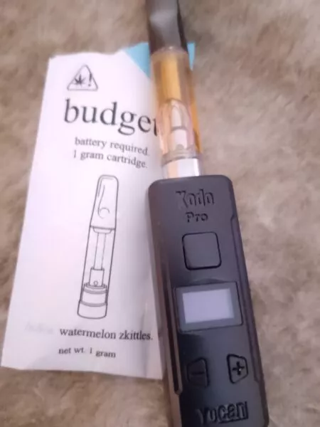 budget | cartucho desechable | 1000 mg | hhc