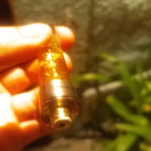 cartucho | bongo carts strn | thc p | 2 gr