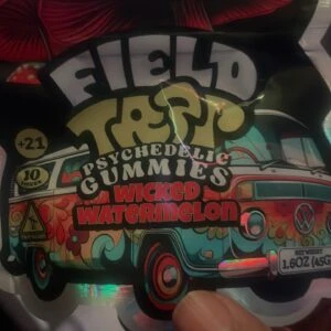 university field trip | gomitas psicoldélicas de hongos | 10 piezas
