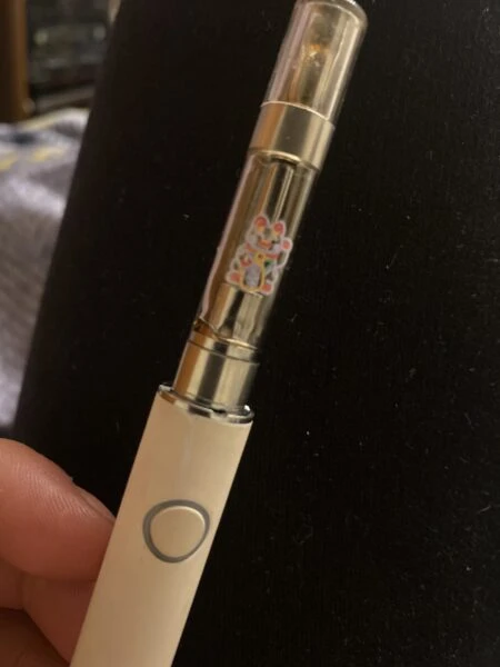 cartucho | luckycat13 | hhc | 1 gramo