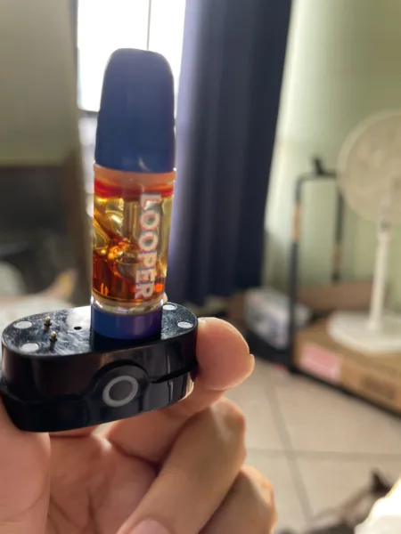 cartucho | looper melted series live resin | hhc, hhc o, thc a, thc p, thcp o, thc h, thc b, thc jd, d8, d11, | 2gr