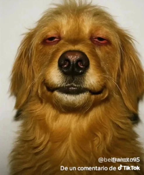 looper | gomitas de thca | delta 9 + hhc + delta 8 | 1000 mg | 2 piezas | alta potencia