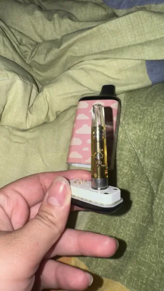 cartucho de thca | 1 gr | 1 ml