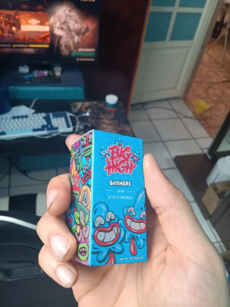 big high | cartucho de wax | 1g