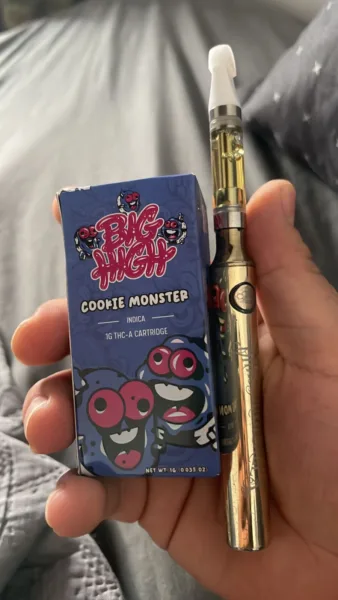 big high | cartucho de wax | 1g