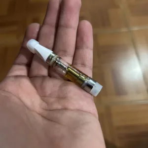 big high | cartucho de wax | 1g
