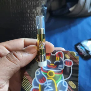 cartucho | luckycat13 | hhc | 1 gramo