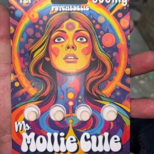tabletas de hongos mágicos adaptógenos | ms mollie cule | 4 piezas | 800 mg